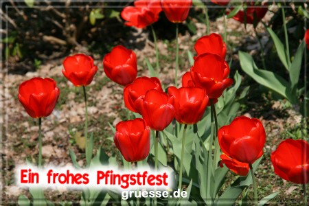 grusskarte-festtage-pfingsten-fotos-b_001