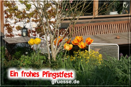 grusskarte-festtage-pfingsten-fotos-b_002