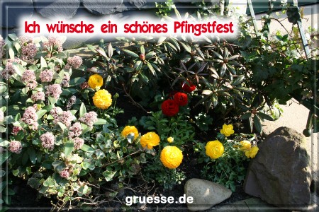 grusskarte-festtage-pfingsten-fotos-b_009