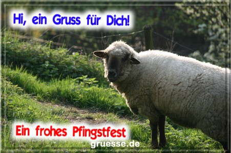 grusskarte-festtage-pfingsten-fotos-b_011