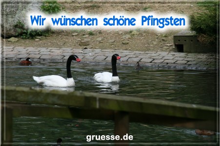 grusskarte-festtage-pfingsten-fotos-b_026
