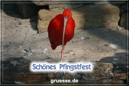 grusskarte-festtage-pfingsten-fotos-b_028