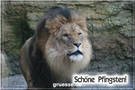 grusskarte-festtage-pfingsten-fotos-b_030