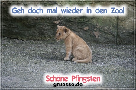 grusskarte-festtage-pfingsten-fotos-b_032