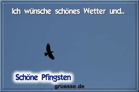grusskarte-festtage-pfingsten-fotos-b_036