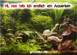 grusskarte-diverses-aquarianer-b_001