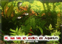 grusskarte-diverses-aquarianer-b_002
