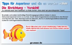 grusskarte-diverses-aquarianer-b_010