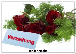grusskarte-diverses-verzeihung-b_008