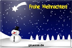 grusskarte-festtage-weihnachten-standard-b_067