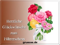 grusskarte-glueckwuensche-fuehrerschein-b_006