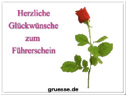 grusskarte-glueckwuensche-fuehrerschein-b_008