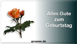 grusskarte-glueckwuensche-geburtstag-blumen-b_009