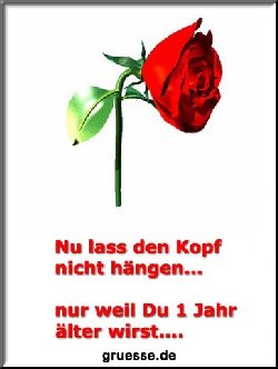 grusskarte-glueckwuensche-geburtstag-grosse-karten-b_016