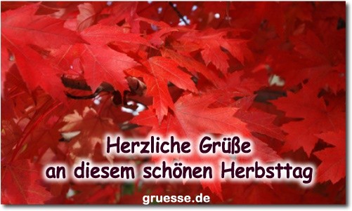 Grusskarten von gruesse.de