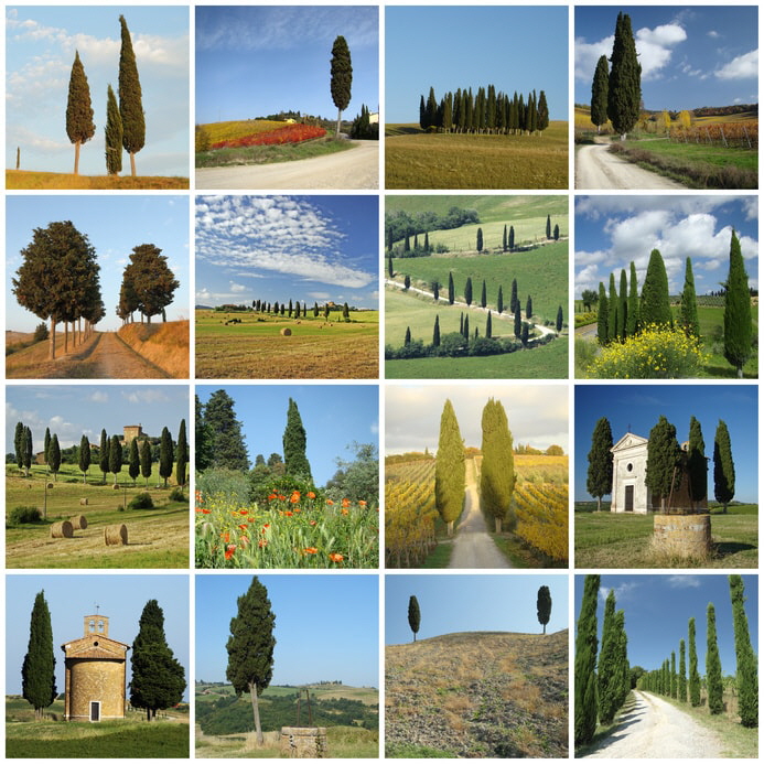 toskana Bild: toskana