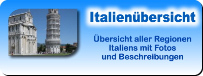 Bild: Fotgrafie - Tausende Fotos