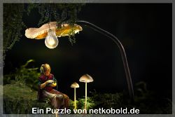 puzzle-maerchen-fantasie-2_008