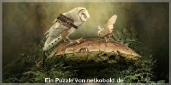 puzzle-maerchen-fantasie-2_012