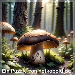 puzzle-maerchen-fantasie-quadrat-1_024