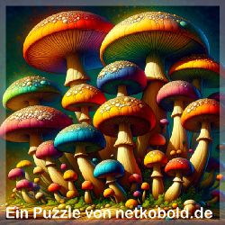 puzzle-maerchen-fantasie-quadrat-1_040