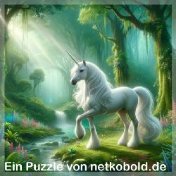 puzzle-maerchen-fantasie-quadrat-3_008