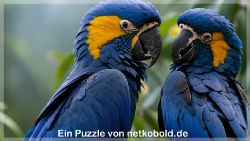 puzzle-tiere-1-004