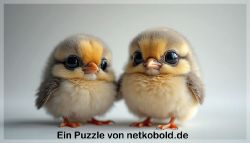puzzle-tiere-1-011