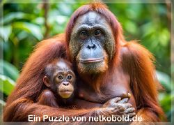 puzzle-tiere-1-021