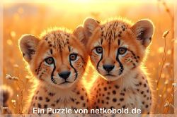 puzzle-tiere-1-022