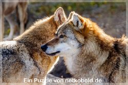 puzzle-tiere-1-025