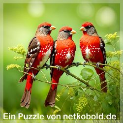 puzzle-tiere-quadrat-1-006