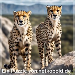 puzzle-tiere-quadrat-1-024