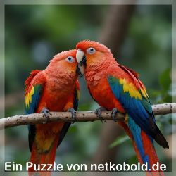 puzzle-tiere-quadrat-1-034