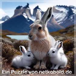 puzzle-tiere-quadrat-1-036