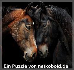 puzzle-tiere-quadrat-1-037