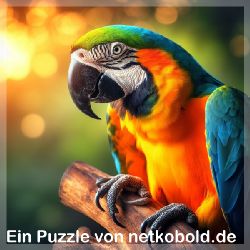 puzzle-tiere-quadrat-1-055